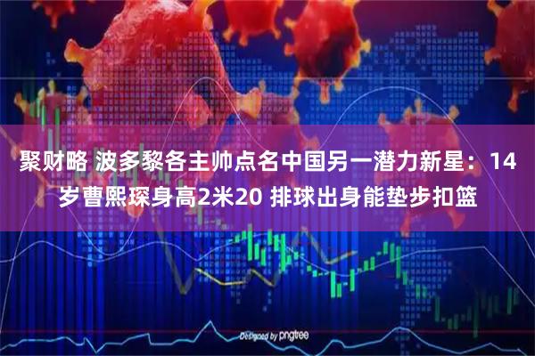 聚财略 波多黎各主帅点名中国另一潜力新星：14岁曹熙琛身高2米20 排球出身能垫步扣篮