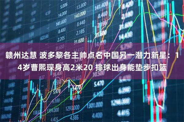 赣州达慧 波多黎各主帅点名中国另一潜力新星：14岁曹熙琛身高2米20 排球出身能垫步扣篮
