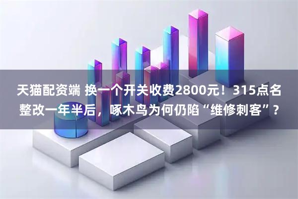 天猫配资端 换一个开关收费2800元！315点名整改一年半后，啄木鸟为何仍陷“维修刺客”？