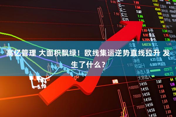 高亿管理 大面积飘绿！欧线集运逆势直线拉升 发生了什么？