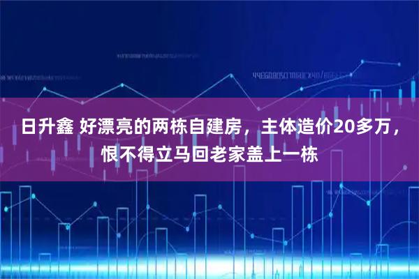 日升鑫 好漂亮的两栋自建房，主体造价20多万，恨不得立马回老家盖上一栋