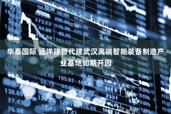 华泰国际 远洋建管代建武汉高端智能装备制造产业基地如期开园